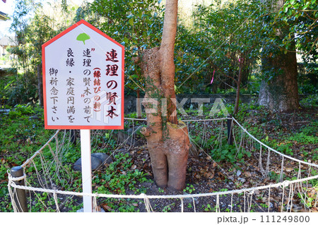 大汝牟遅神社 大汝牟遅神社 111249800