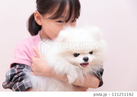 愛犬ポメラニアンと遊ぶ女の子 愛犬ポメラニアンと遊ぶ女の子 111251192
