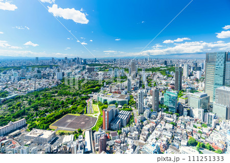 青空と緑の東京　2023　 111251333