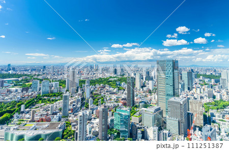 青空と緑の東京　2023　 111251387