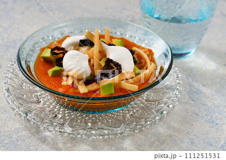 メキシコ料理のソパ・デ・トルティージャ（ソパ・アステカ） 111251531