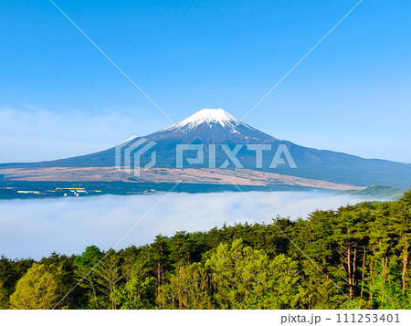 富士山（5月・忍野村より） 111253401