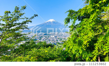 新緑と富士山(新倉山浅間公園) 新緑と富士山(新倉山浅間公園) 111253602