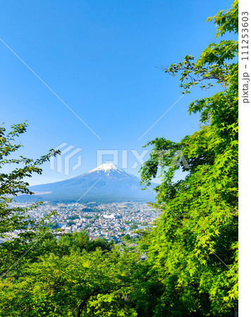新緑と富士山(新倉山浅間公園) 新緑と富士山(新倉山浅間公園) 111253603