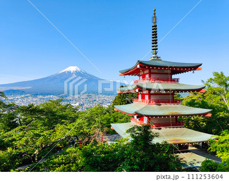 新緑と富士山（新倉山浅間公園） 111253604