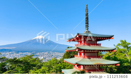 新緑と富士山（新倉山浅間公園） 111253608