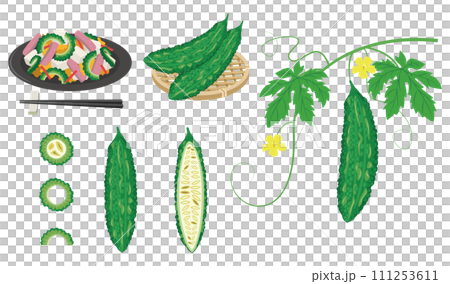 新鮮夏季蔬菜苦瓜與苦瓜 champuru 111253611