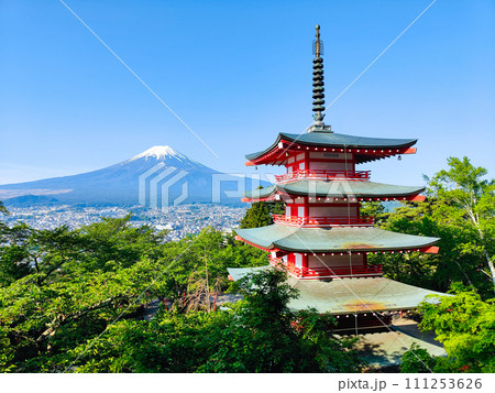 新緑と富士山(新倉山浅間公園) 新緑と富士山(新倉山浅間公園) 111253626
