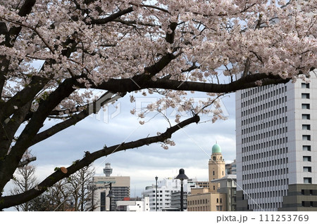 桜越しに見る横浜税関 111253769
