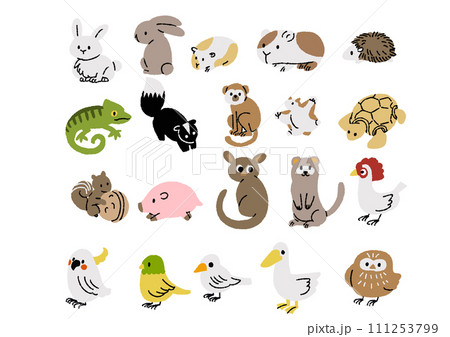 色々なペットの小動物のイラストセット 111253799