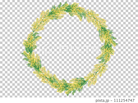 Watercolor style mimosa wreath frame Watercolor style mimosa wreath frame 111254747