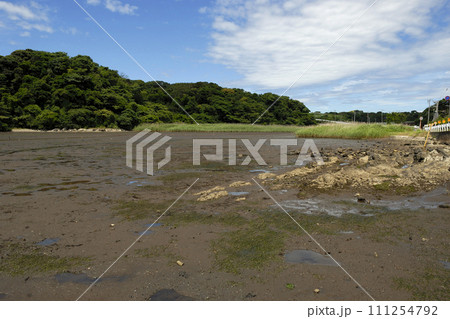 干潟　海辺の環境 111254792