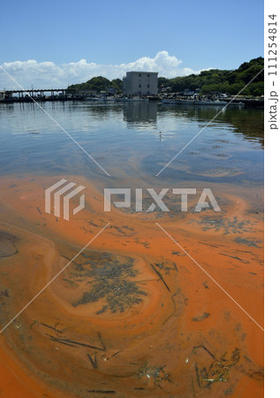 赤潮の海 赤潮の海 111254814