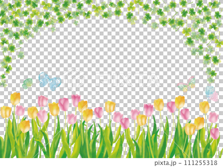 水彩風格的粉紅色和黃色鬱金香、三葉草和蝴蝶框架 111255318