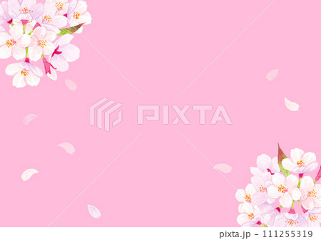 桜 水彩背景イラスト  桜 水彩背景イラスト  111255319