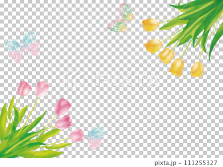 水彩風格粉紅色和黃色鬱金香和蝴蝶框架 111255327