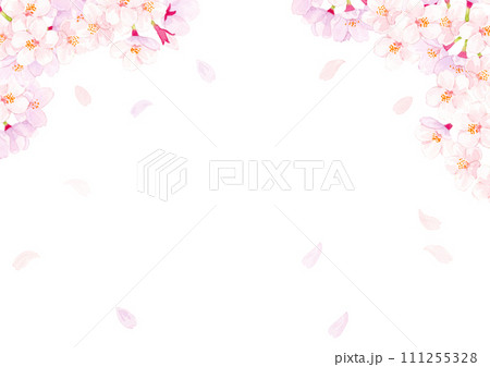 桜 水彩背景イラスト  桜 水彩背景イラスト  111255328