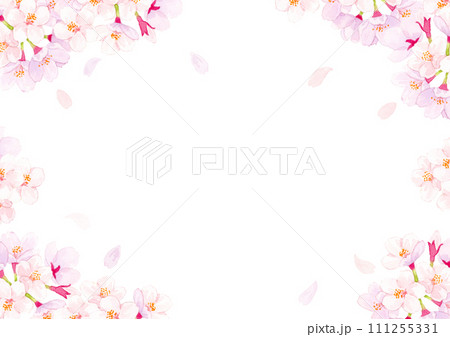桜　水彩背景イラスト　 111255331