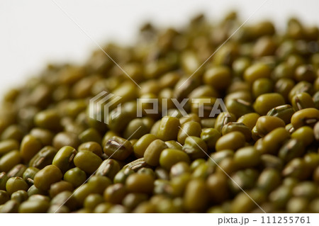 収穫した緑豆　もやしの種　ムング豆 111255761