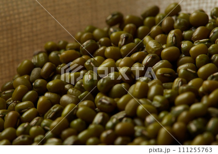 収穫した緑豆　もやしの種　ムング豆 111255763