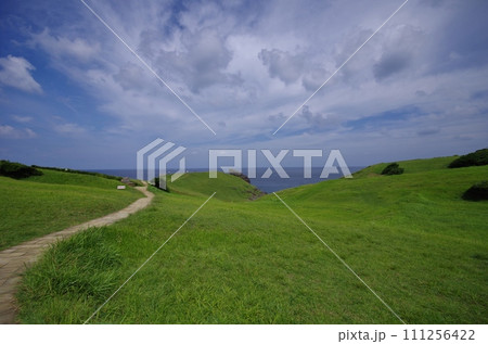 壱岐対馬国定公園 牧崎園地のゴリラ岩 壱岐対馬国定公園 牧崎園地のゴリラ岩 111256422