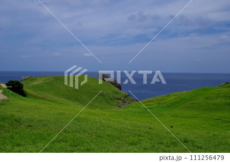 壱岐対馬国定公園　牧崎園地のゴリラ岩 111256479