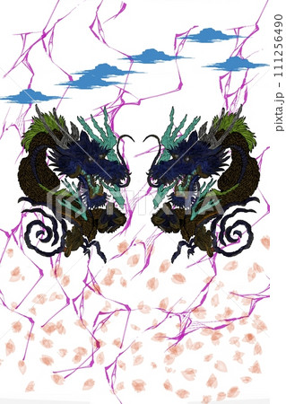 宇宙に漂う　龍　ブラックドラゴン 111256490