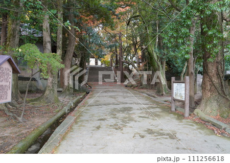功山寺 山口県 功山寺 山口県 111256618