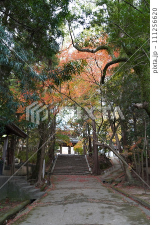 功山寺　 山口県 111256620