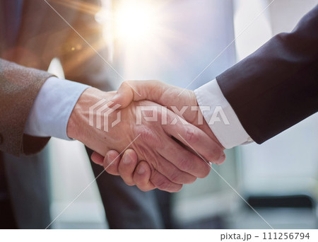 This merger will see the potential growth of our business 111256794