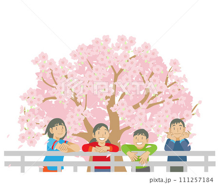 満開の桜を見る子供たちのイラスト 111257184