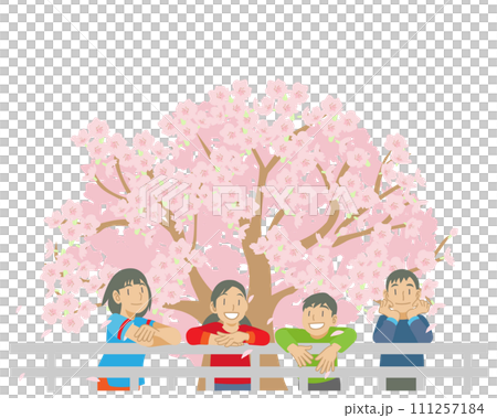 Illustration of children looking at cherry blossoms in full bloom 111257184