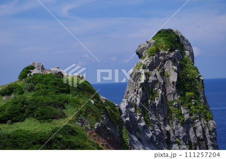 壱岐対馬国定公園　巨大な奇石　猿岩 111257204