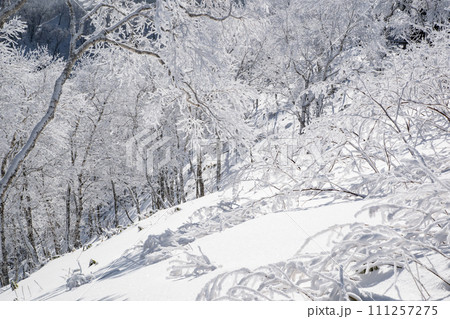 霧氷は美しい摩周湖 111257275
