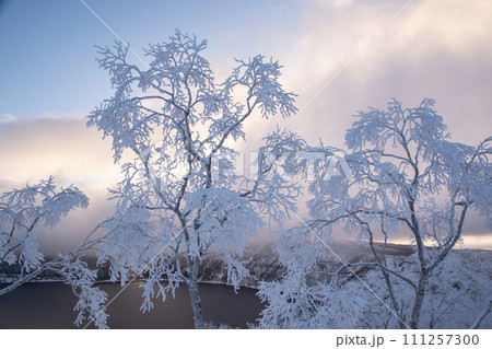 霧氷は美しい摩周湖 111257300