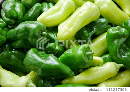 ピーマンとパプリカ20220904 111257308