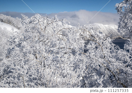 霧氷は美しい摩周湖 111257335