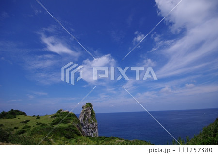 壱岐対馬国定公園　巨大な奇石　猿岩 111257380