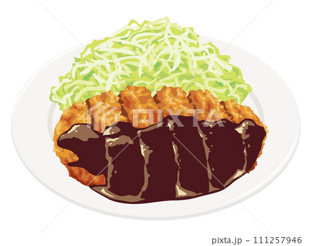 味噌カツ 味噌カツ 111257946