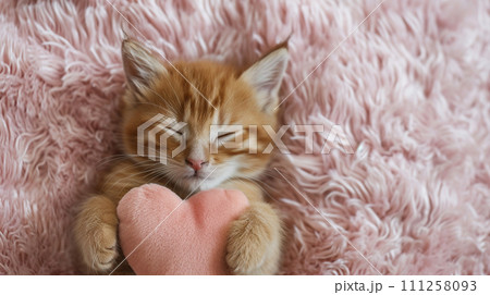 ハートのクッションと寝転ぶ子猫の背景素材 111258093