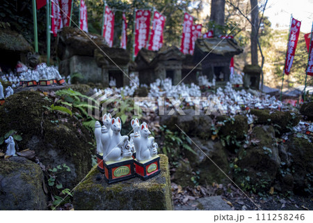 鎌倉24.1月 佐助稲荷神社7 鎌倉24.1月 佐助稲荷神社7 111258246