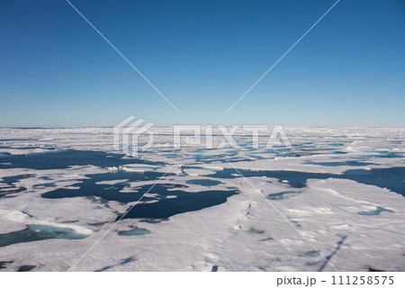 Arctic seascape 111258575