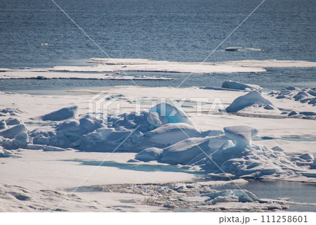 Arctic seascape Arctic seascape 111258601
