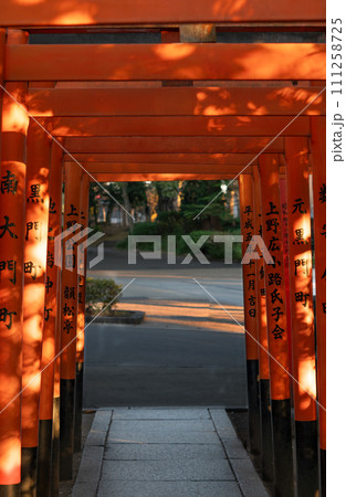 東京上野の花園神社です。外国の方が多く人気スポットです 東京上野の花園神社です。外国の方が多く人気スポットです 111258725