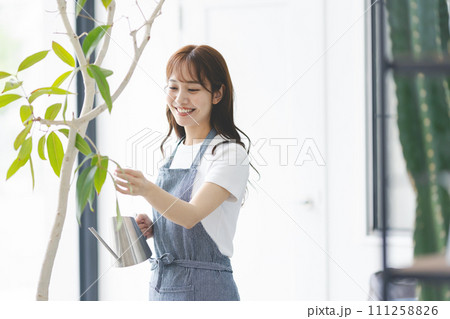 観葉植物に水やりをする女性 111258826