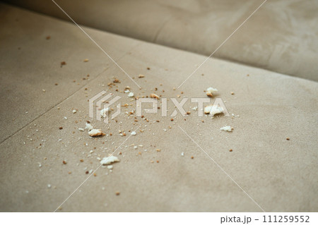 dirty stain or dust on gray color sofa  111259552