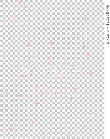 Vertical illustration of a background of dancing cherry blossom petals Vertical illustration of a background of dancing cherry blossom petals 111259746