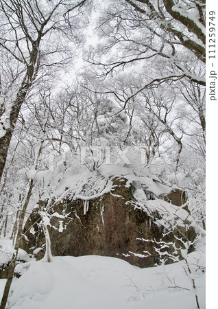 比婆山ブナ林雪景色　飛越岩雪化粧 111259749