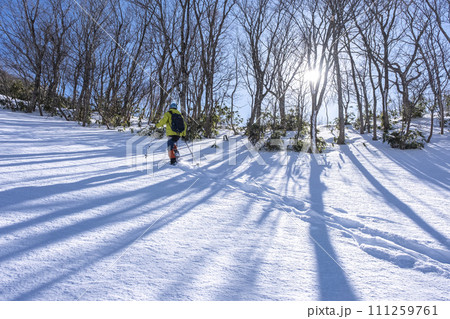 スノーシューで雪の中を歩く　大山鏡ヶ成 111259761