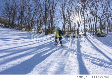 スノーシューで雪の中を歩く 大山鏡ヶ成 スノーシューで雪の中を歩く 大山鏡ヶ成 111259768